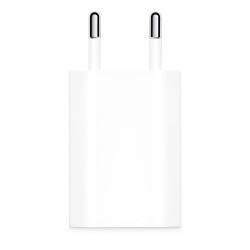 Adaptateur Secteur/USB 10W Pour Ipad