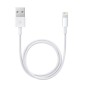 Apple ME291 Original Lightning Cable - 0.5m - White (Blister)