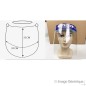 Pack of 12 Facial Protective Visors