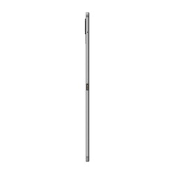 Doogee T30 Pro (4G Tablet - 11'', 256 GB, 8 GB RAM) Gray